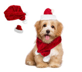 064227 Set bonnet et écharpe PÈRE NOËL pour chiens de petite taille
