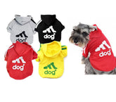 Sweat à capuche sportif pour chiens de petite taille en plusieurs couleurs