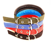Collier pour chien en Nylon mod. Phoenix rembourré avec boucle -taille L