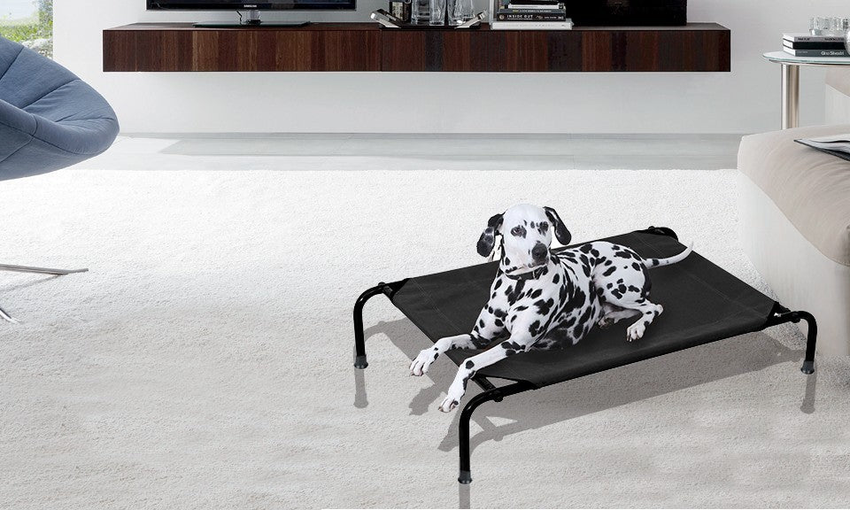 Lit de camp pour animaux moyenne taille –Intérieur et extérieur 105 x 76 x 20 cm