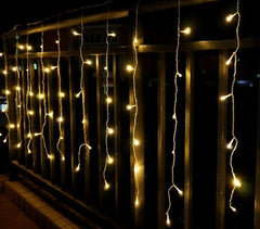 031342 Rideau de lumières de Noël d'extérieur 3mt 240 lumières blanches 