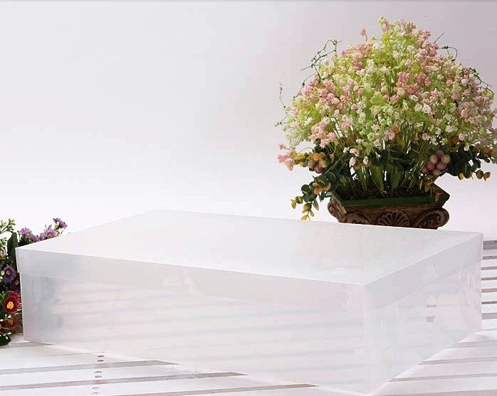 Boîte de rangement transparente - pour botte - organisateur de chaussure