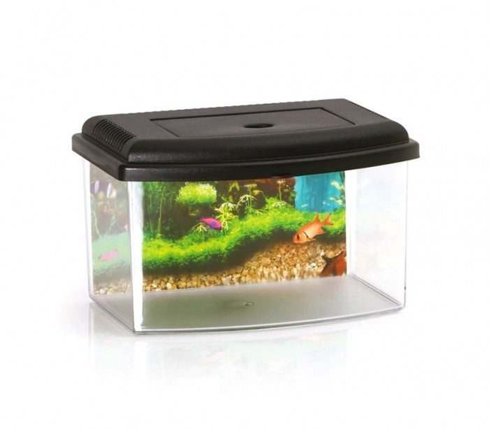 10635 Aquarium rectangulaire en plastique rigide 3 L avec couvercle 22x16x14 cm