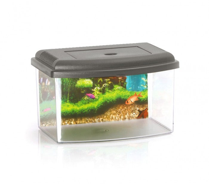 10635 Aquarium rectangulaire en plastique rigide 3 L avec couvercle 22x16x14 cm