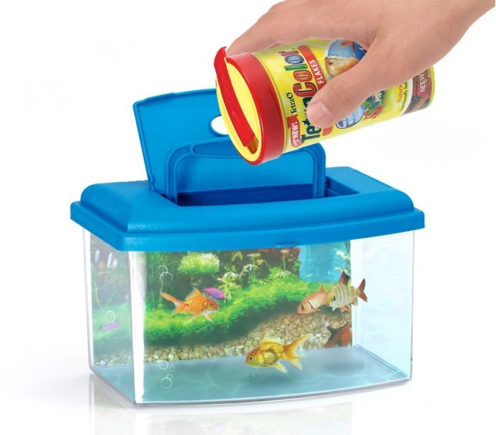 10635 Aquarium rectangulaire en plastique rigide 3 L avec couvercle 22x16x14 cm