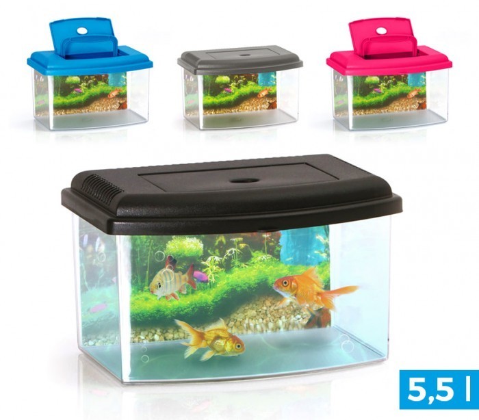10636 Aquarium rectangulaire en plastique rigide 5,5L avec couvercle 28x20x17 cm