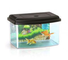 10636 Aquarium rectangulaire en plastique rigide 5,5L avec couvercle 28x20x17 cm