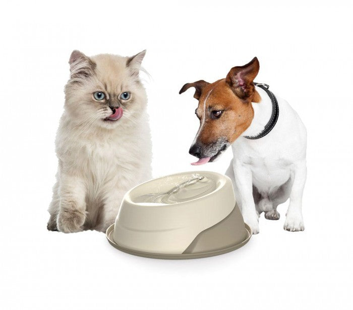 10110 Gamelle à eau automatique - Fontaine Trevi pour chiens chats Made in Italy