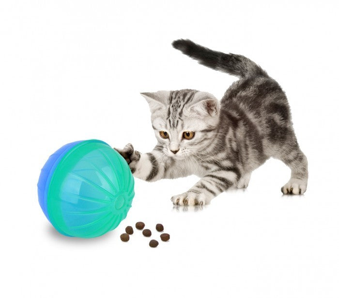 10196 Jouet intelligent pour animaux BALLY avec ouverture pour les croquettes