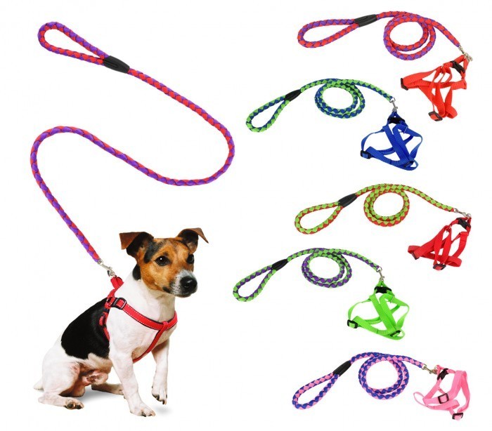 Harnais avec laisse courte 120 cm ART 5823 bicolore pour petits chiens