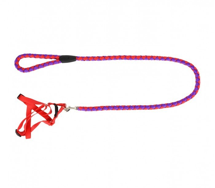 Harnais avec laisse courte 120 cm ART 5823 bicolore pour petits chiens