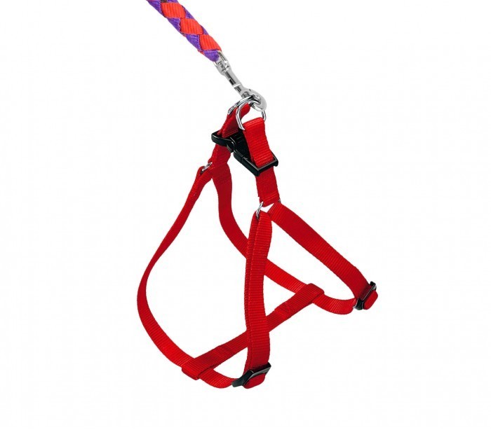 Harnais avec laisse courte 120 cm ART 5823 bicolore pour petits chiens