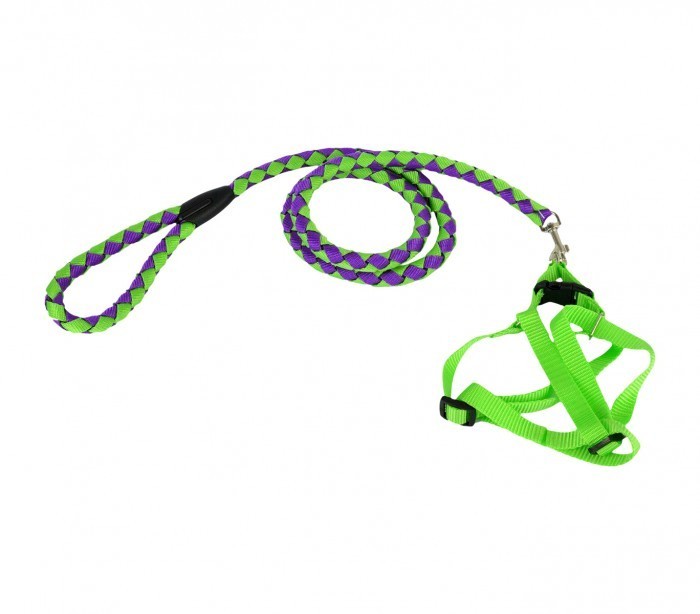 Harnais avec laisse courte 120 cm ART 5823 bicolore pour petits chiens