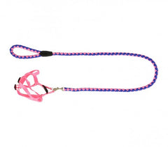 Harnais avec laisse courte 120 cm ART 5823 bicolore pour petits chiens