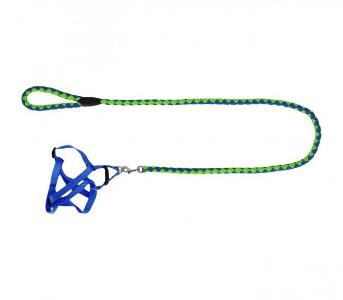 Harnais avec laisse courte 120 cm ART 5823 bicolore pour petits chiens