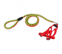 Harnais avec laisse courte 120 cm ART 5823 bicolore pour petits chiens