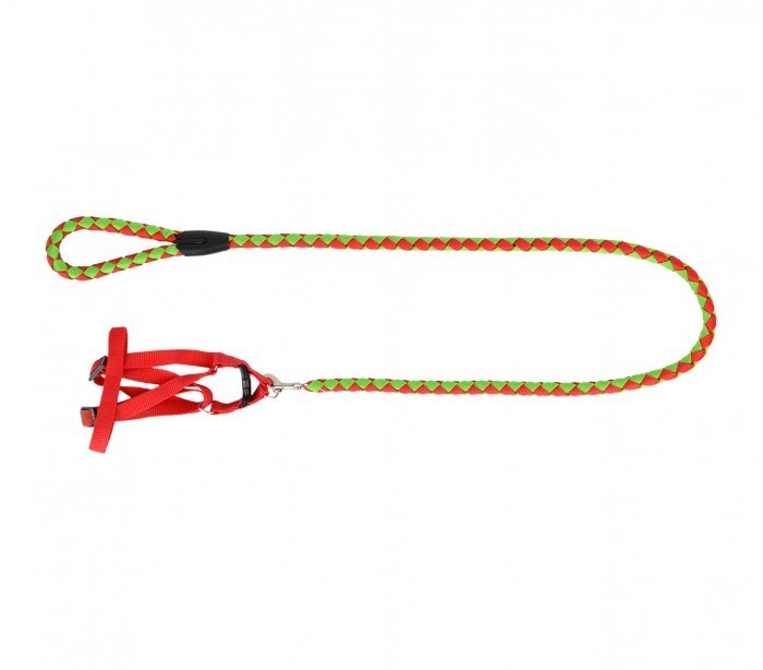 Harnais avec laisse courte 120 cm ART 5823 bicolore pour petits chiens