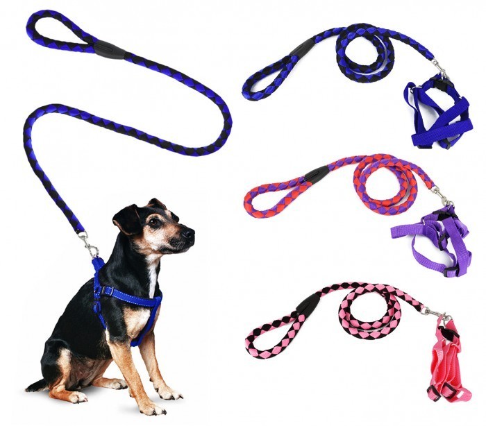 Harnais avec laisse courte 120 cm ART 5824 bicolore pour chiens petits et moyens