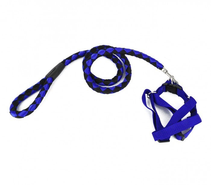 Harnais avec laisse courte 120 cm ART 5824 bicolore pour chiens petits et moyens