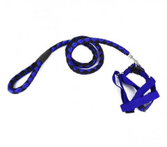 Harnais avec laisse courte 120 cm ART 5824 bicolore pour chiens petits et moyens