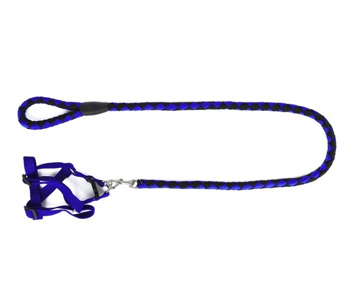 Harnais avec laisse courte 120 cm ART 5824 bicolore pour chiens petits et moyens