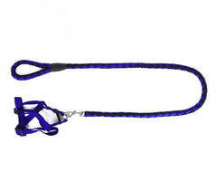 Harnais avec laisse courte 120 cm ART 5824 bicolore pour chiens petits et moyens