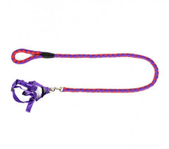 Harnais avec laisse courte 120 cm ART 5824 bicolore pour chiens petits et moyens