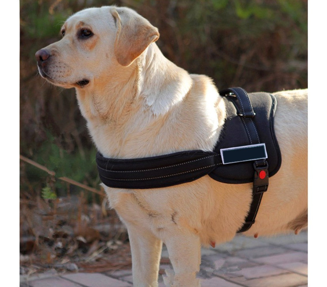 Harnais de chien rembourré réglable pour l'éducation de la formation