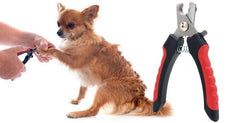 Ciseaux à griffes en acier inoxydable pour chiens, chats et chiots