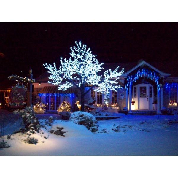 Guirlande 100 LED, énergie solaire, effect vacillement ou fixe, special Noel 
