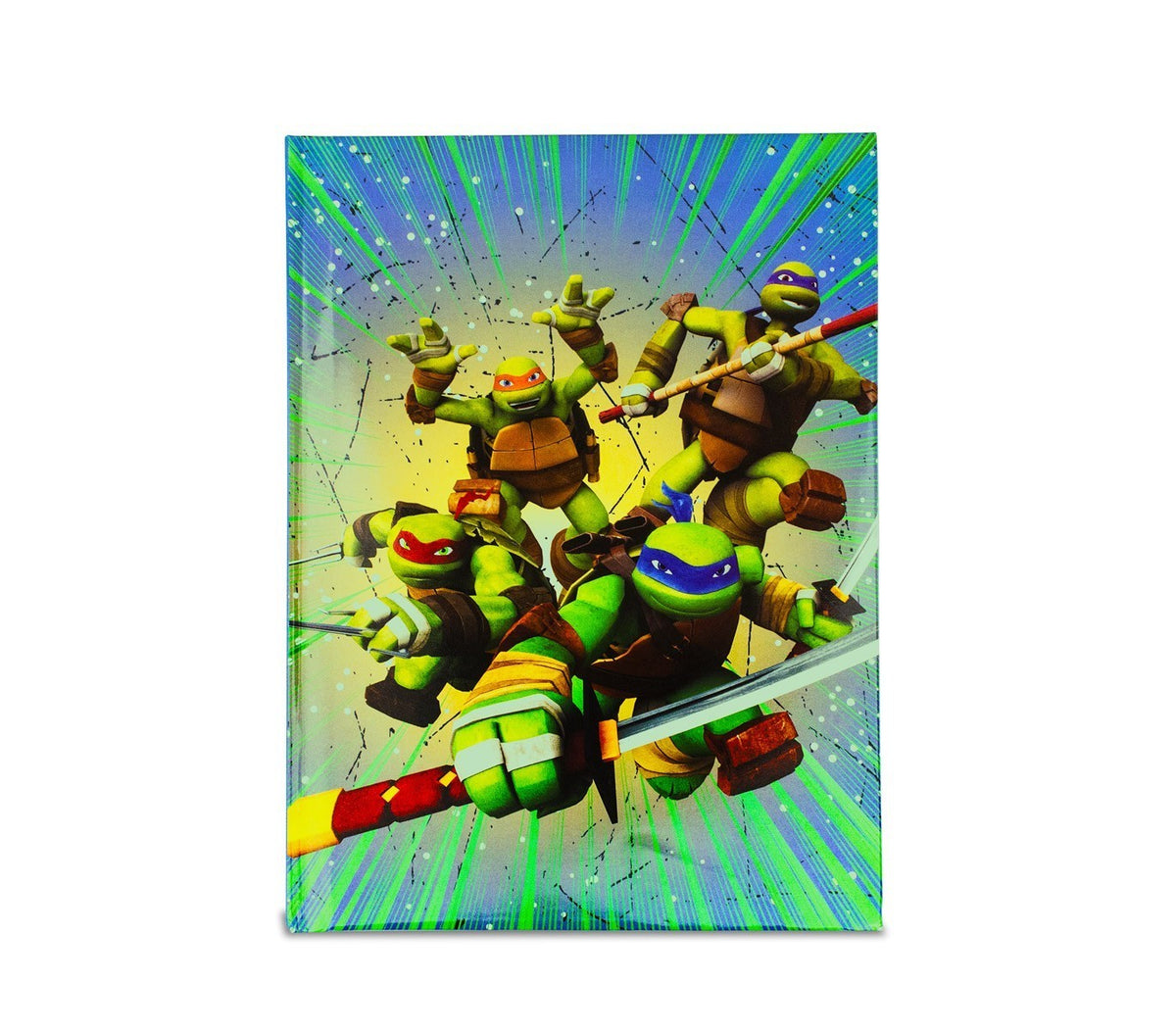 904928 Agenda scolaire 10 mois caractère Tortues Ninja TMNT HERO NICKELODEON 