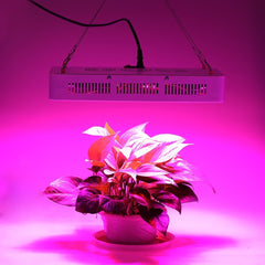 4373 Lampe LED horticole 1500W pour culture en intérieur 150 led de 10W crochet