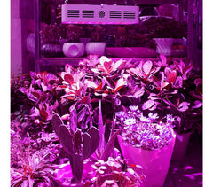 4373 Lampe LED horticole 1000W pour culture en intérieur 100 led de 10W crochet
