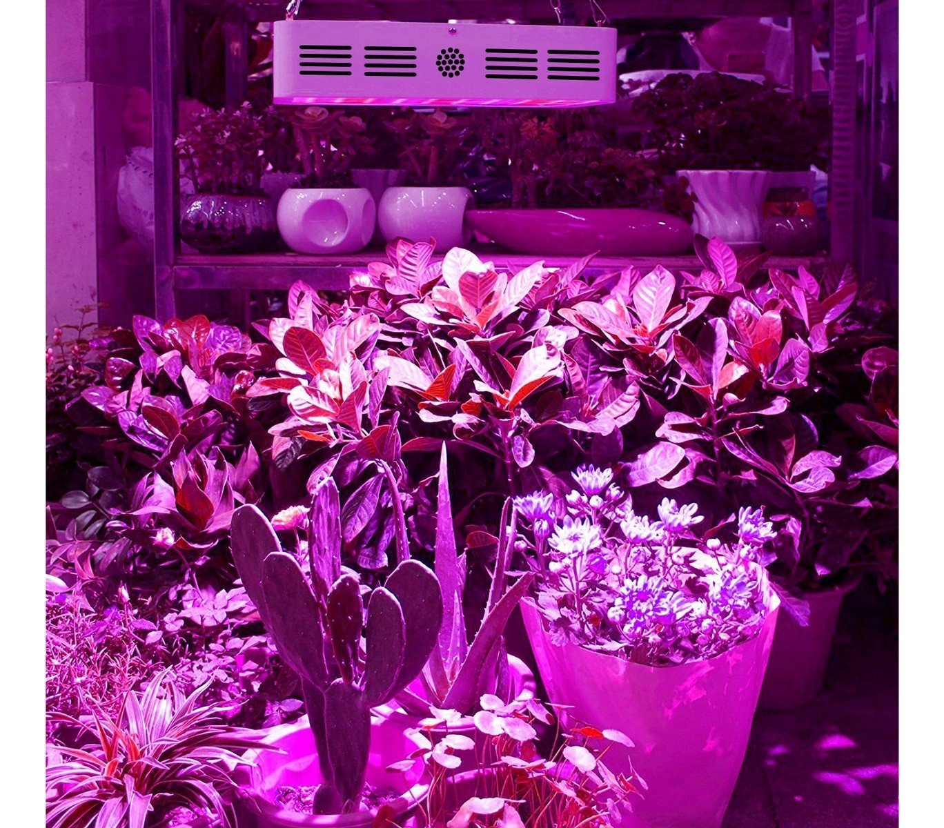 4373 Lampe LED horticole 600W pour culture en intérieur 60 led de 10W crochet