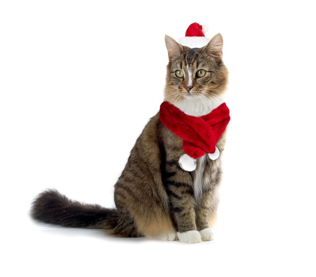064234 Set bonnet et écharpe PÈRE NOËL pour chiens et chats de petite taille