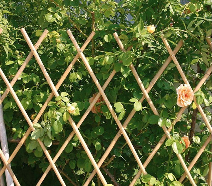 377512 Clôture extensible pour plante jardin ou support murale 120 x 240 cm 