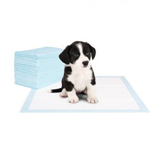 000197 Pack 100 tapis éducateur propreté pour chien 60x40cm NOBLEZA PUPPY PADS