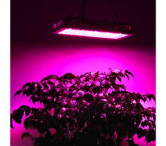 14918 lampe Led 2000W culture en intérieur pour serre 200LEDS de 10W  et crochet