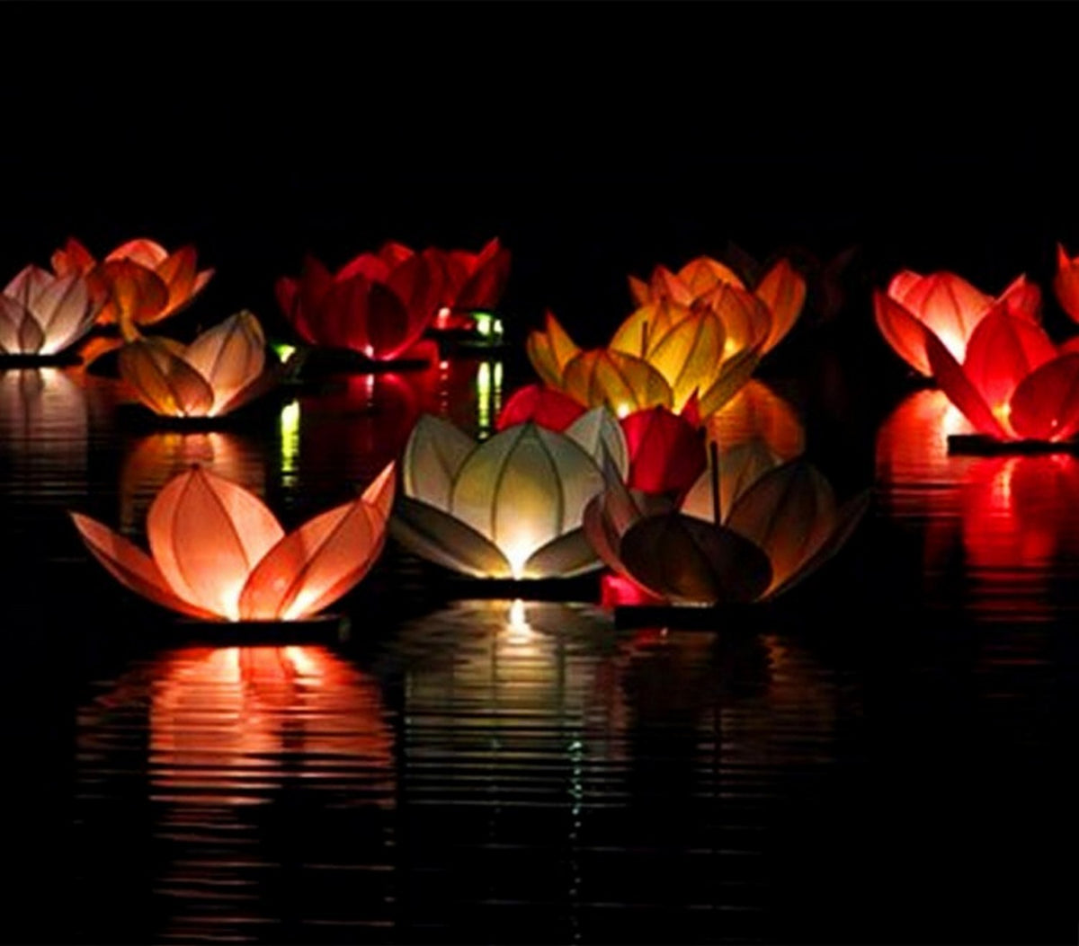 747011 Pack de 6 lanternes flottantes fleurs de lotus 30x30cm couleurs mélangées
