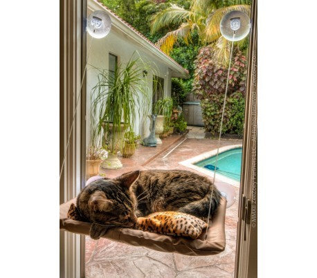 Lit  pour chat avec des ventouses à suspendre a la fenêtre