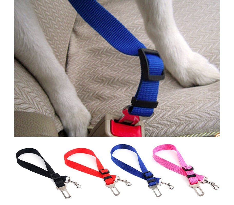 Laisse ceinture avec crochet pour ceinture de sécurité auto - Protection animaux