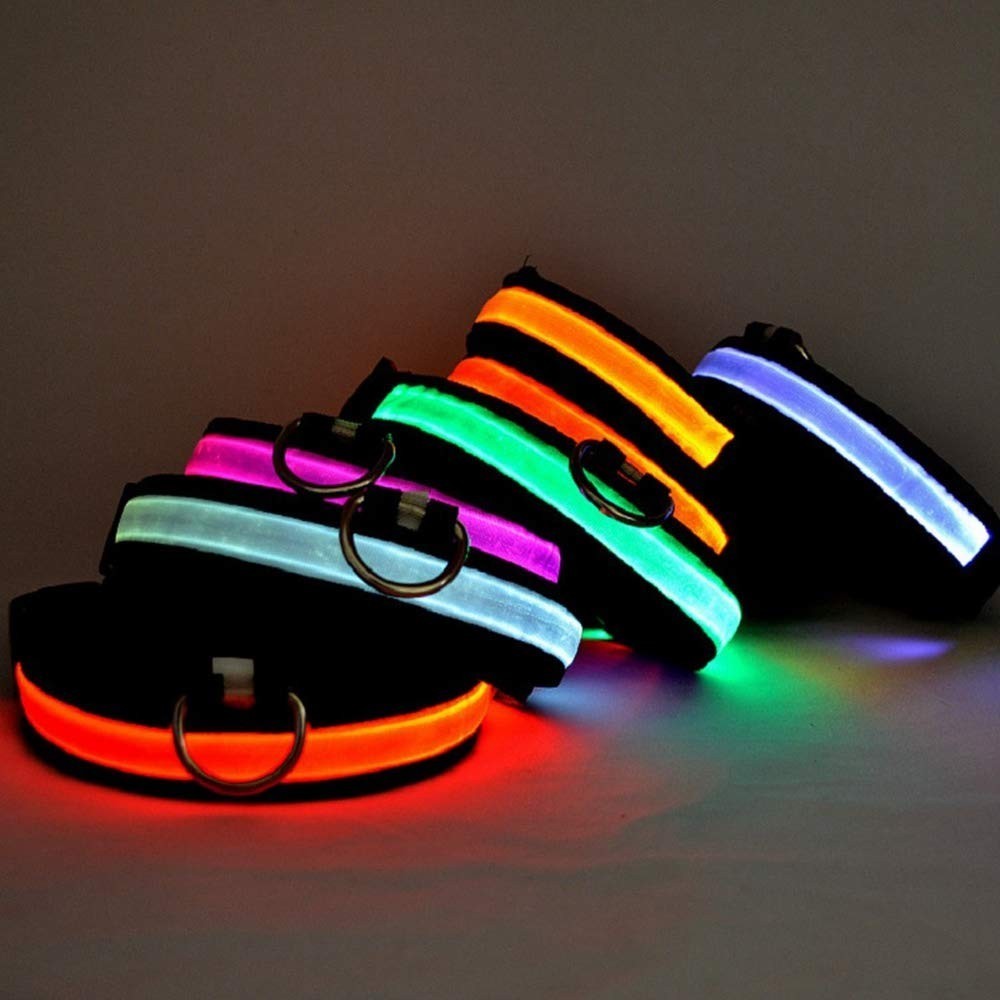 FUBUCA Collier réglable LED pour chiens avec charge solaire et usb 3 tailles