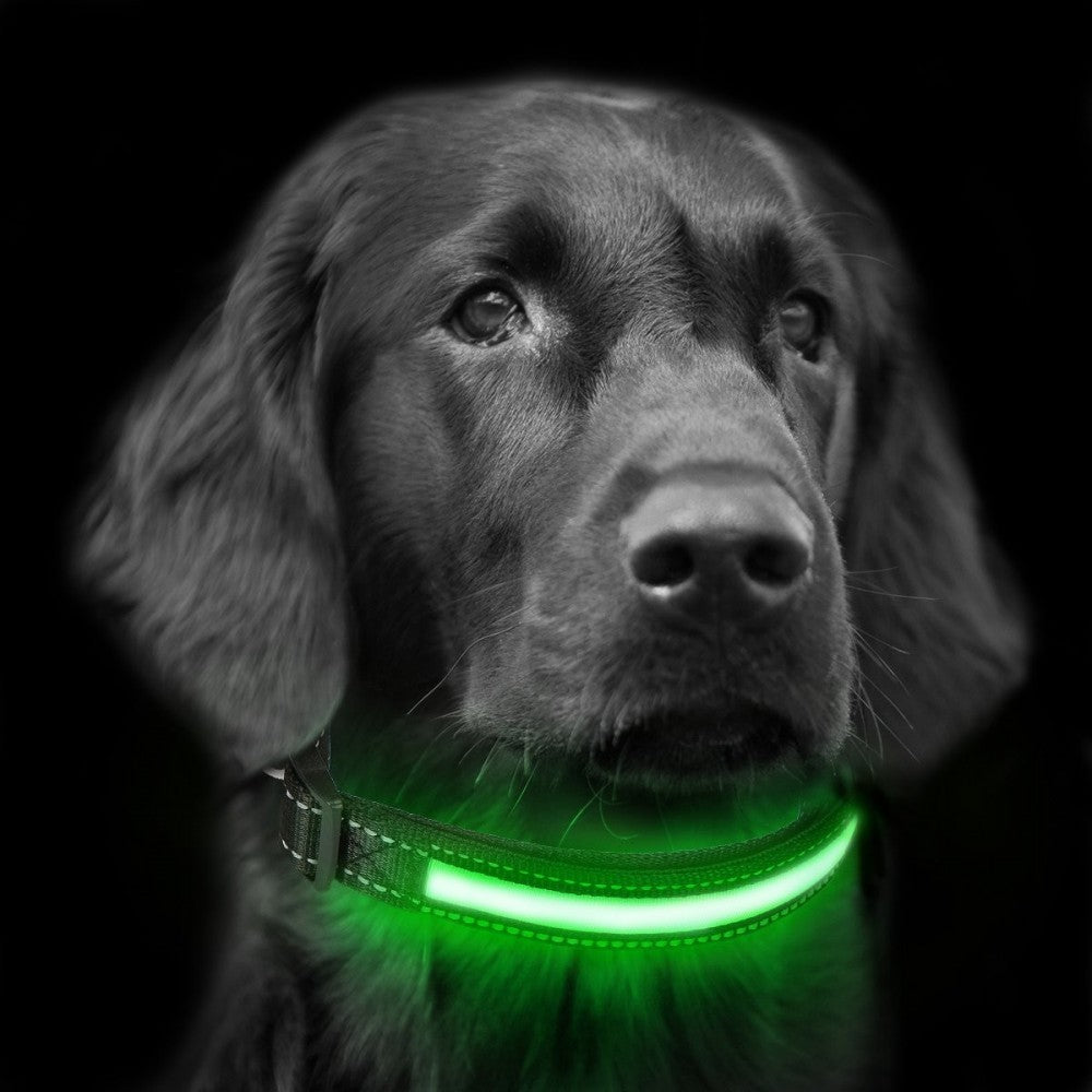 FUBUCA Collier réglable LED pour chiens avec charge solaire et usb 3 tailles