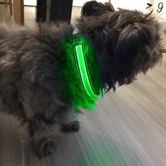 FUBUCA Collier réglable LED pour chiens avec charge solaire et usb 3 tailles