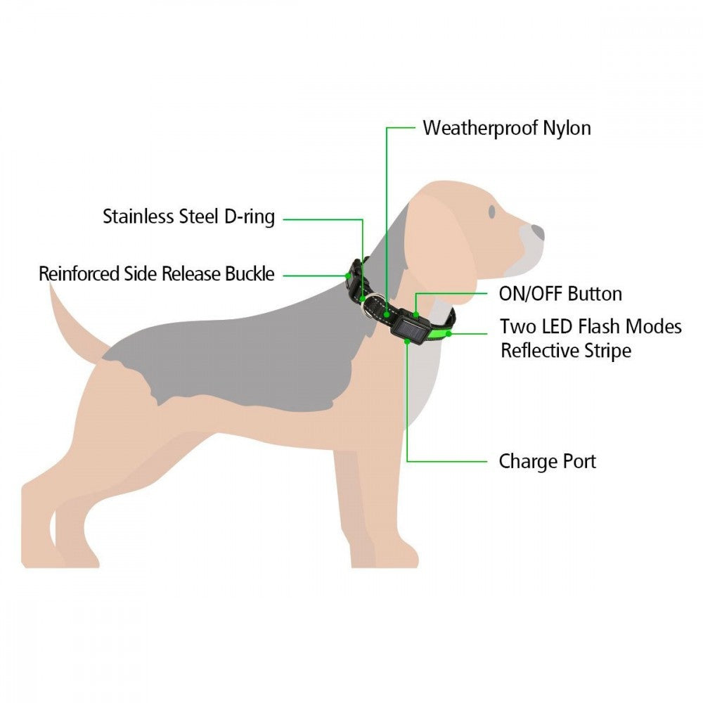 FUBUCA Collier réglable LED pour chiens avec charge solaire et usb 3 tailles
