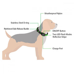 FUBUCA Collier réglable LED pour chiens avec charge solaire et usb 3 tailles