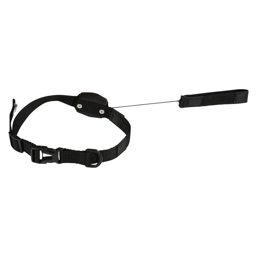 166004 Collier élastique pour chiens de taille moyenne ou petite 145 cm.