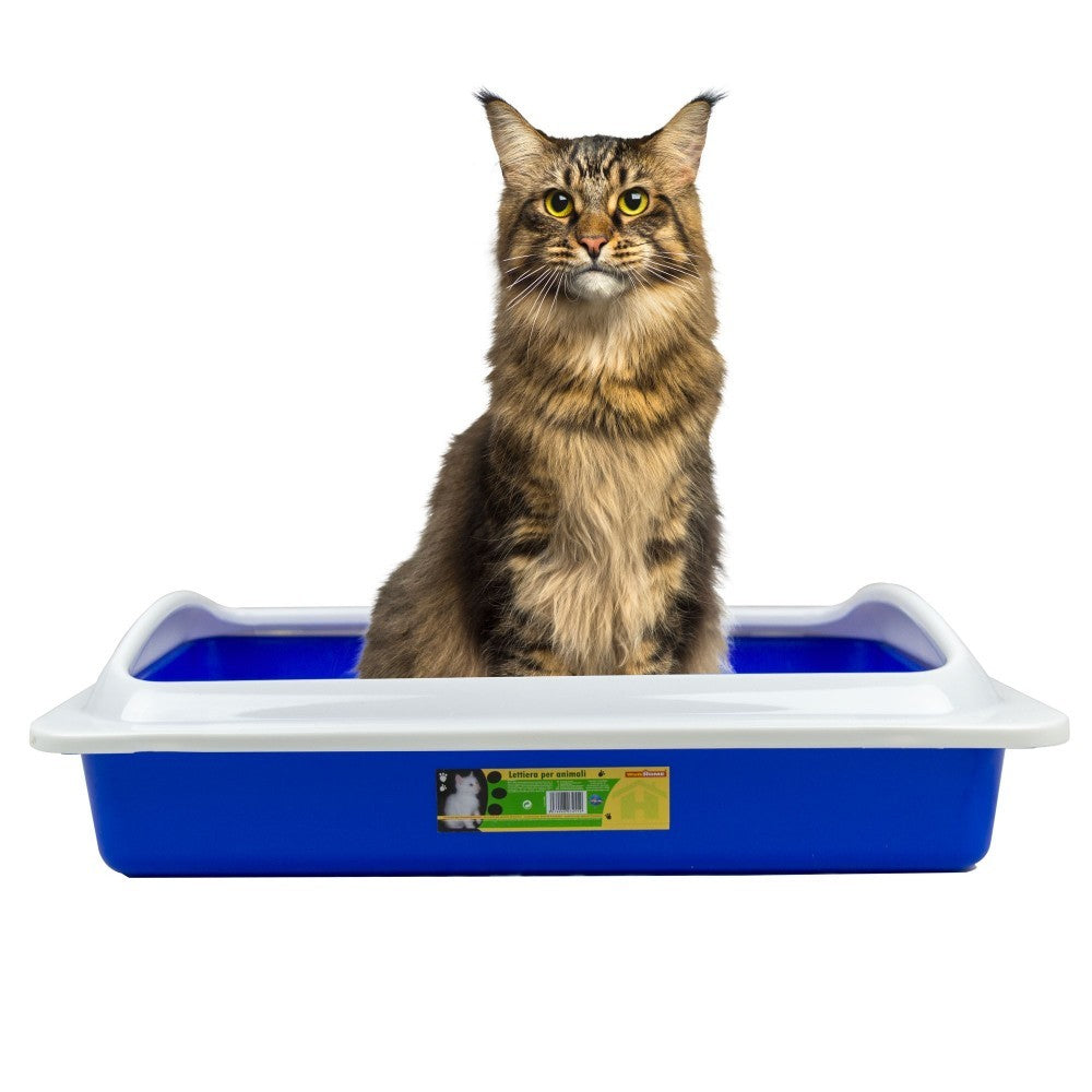 034552 Litière pour chat WELKHOME avec rebord amovible  35x45x10cm