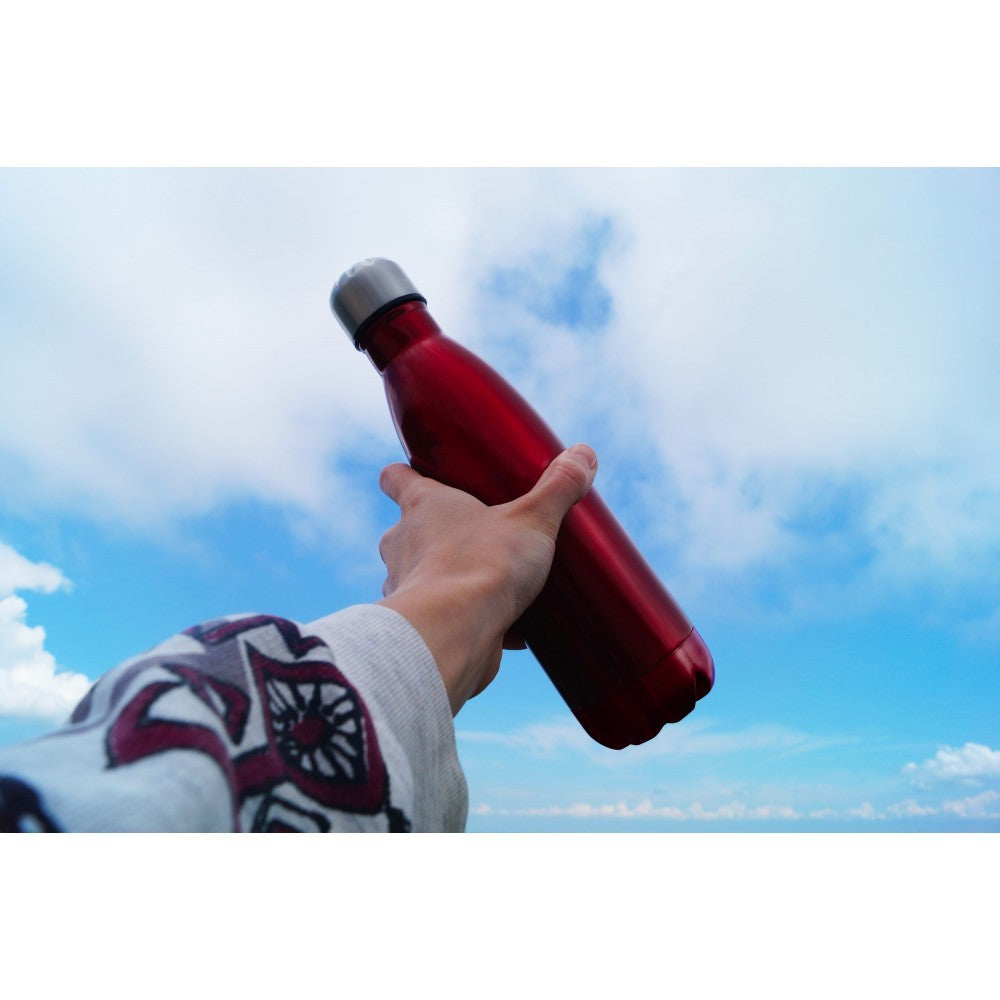 186168 Bouteille d'eau thermique de 500 ml en acier sans BPA plusieurs coloris