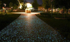 Pack de 300 pierres lumineuses fluorescentes décoratives glow in the dark